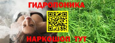 стаф Будённовск