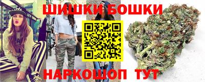 стаф Будённовск