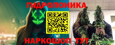 стаф Будённовск