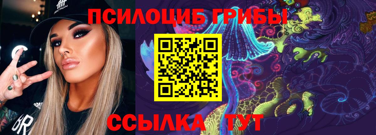 продажа наркотиков  Псилоцибиновые грибы GOLDEN TEACHER  Вход с VPN  Скопин 